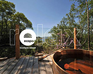 休閑會所品牌vi設(shè)計