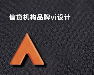 信貸機構品牌vi設計